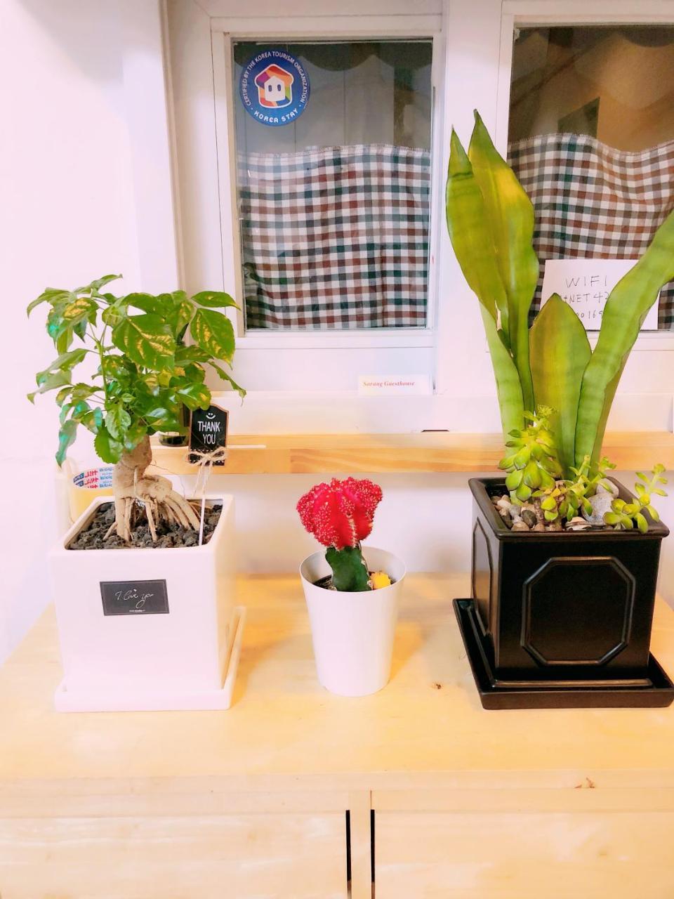 Sarang Guesthouse Dongdaemun Seoel Buitenkant foto